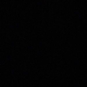 Meet your Posher, Paige